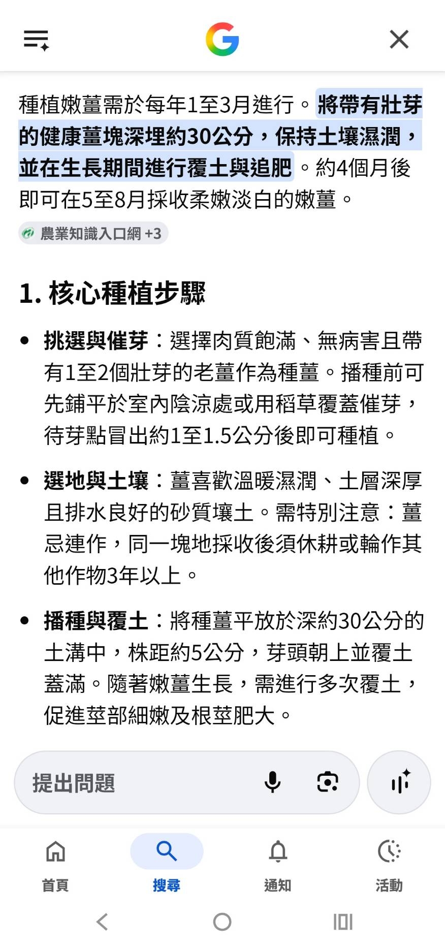 挖薑塊