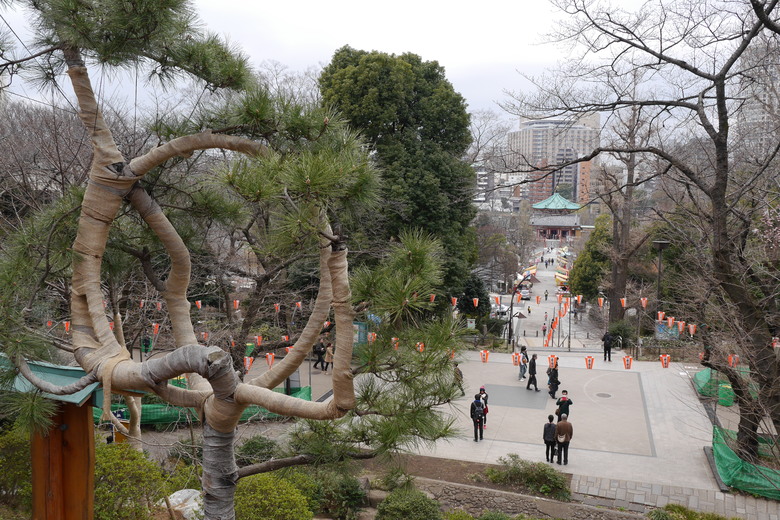 東京的一些旅遊紀錄 上野 都電おもいで広場 都電荒川線 晴空塔