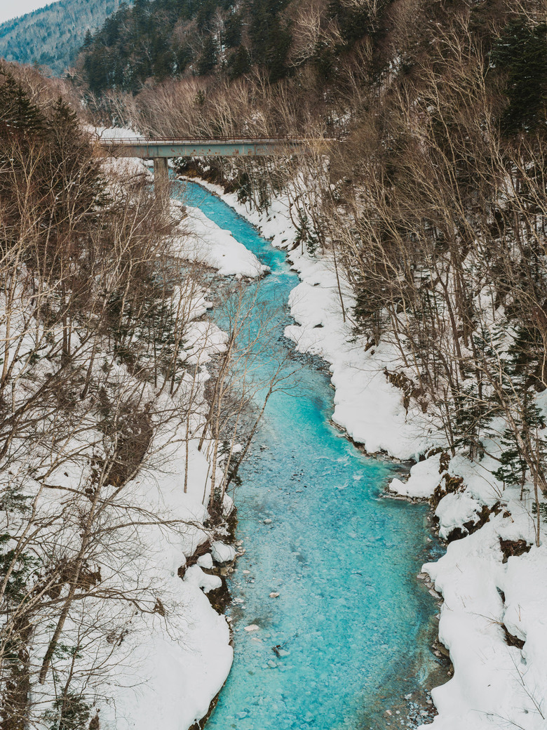 2026北海道之旅（下） A7CR/20-70G/35GM