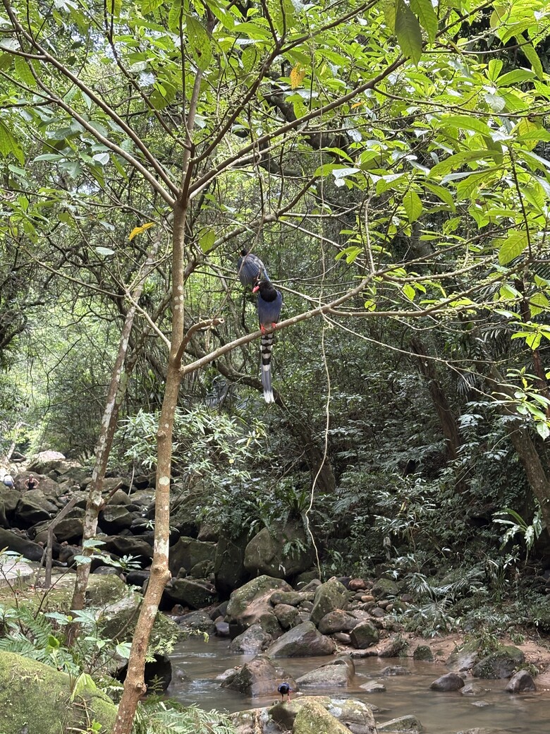 暑假第一站：內湖大溝溪，走進圓覺瀑布的一堂戶外自然課