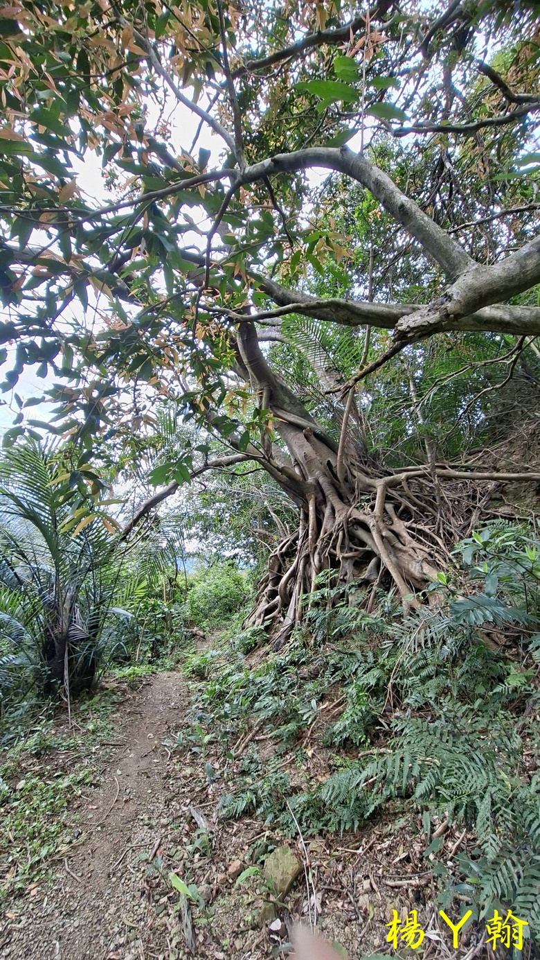 【郊山走走】拉繩攀爬登頂猴山岳前峰,猴山岳連走貓空圓山、岐山古道