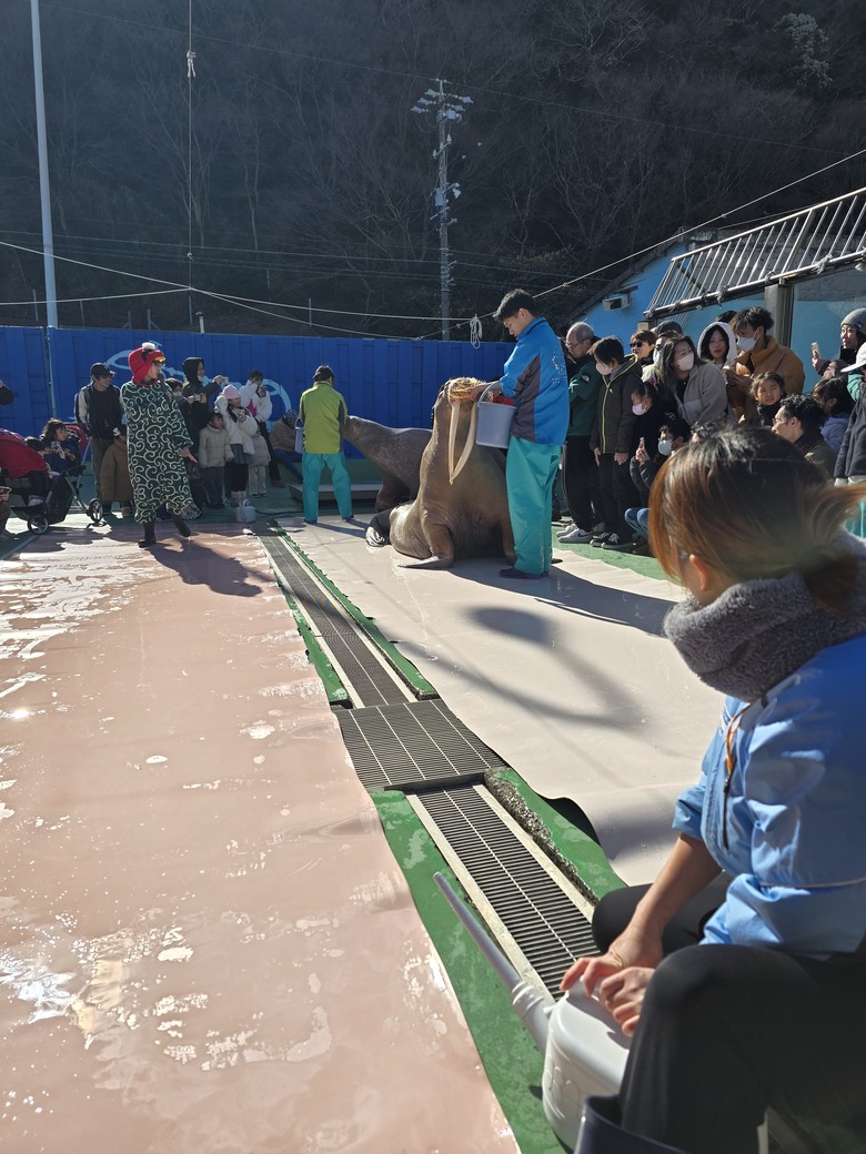 三重縣 伊勢海洋樂園 今天來點不一樣的水族館吧