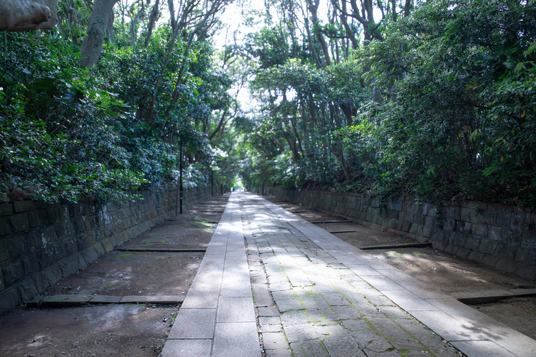 點我看大圖 ✈️ 趕在暑假人潮爆炸前,先衝一波日本上篇~海上鳥居絕景、現流海鮮隨意吃、森林系秘境參拜