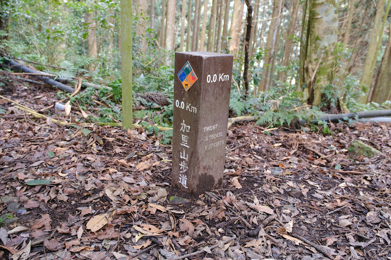 【哈加縱走】極具挑戰的中級山縱走路線 | 哈堪尼山.加里山