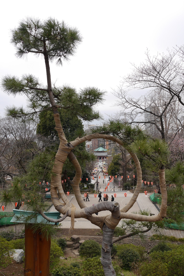 東京的一些旅遊紀錄 上野 都電おもいで広場 都電荒川線 晴空塔