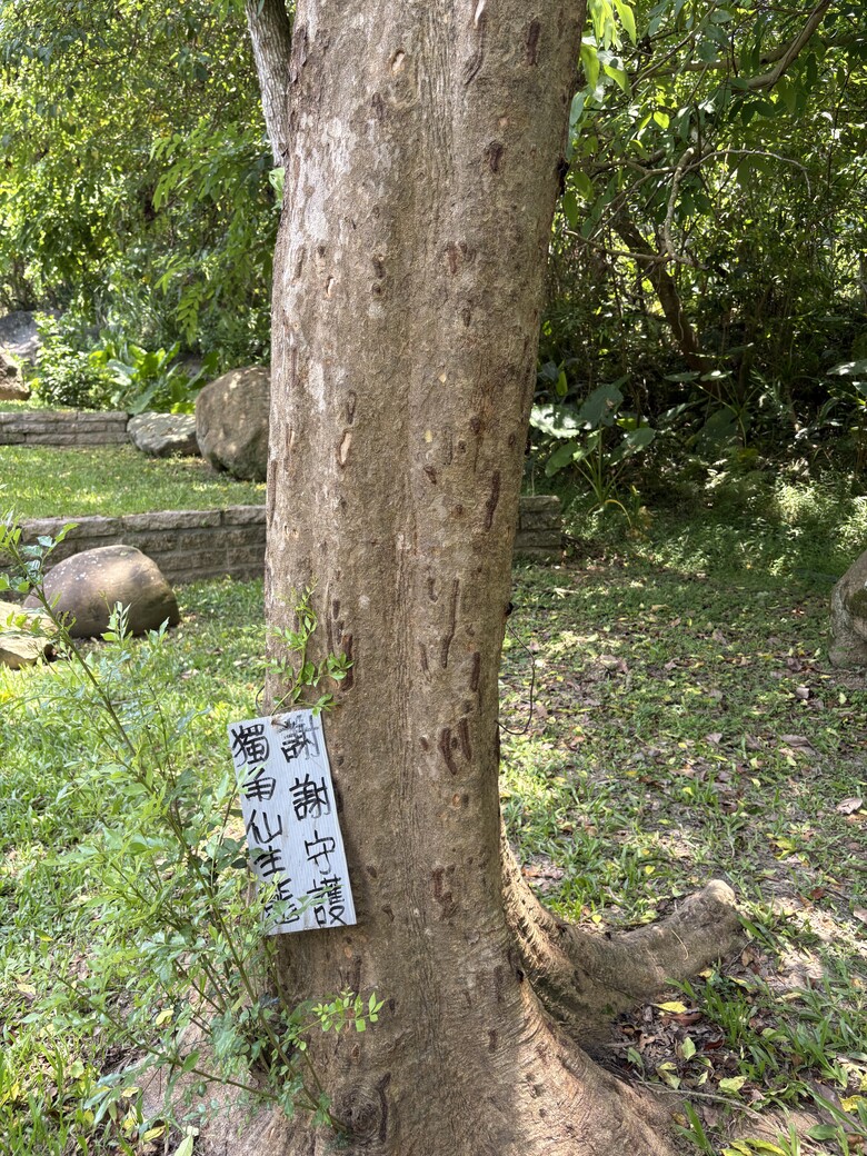 暑假第一站：內湖大溝溪，走進圓覺瀑布的一堂戶外自然課