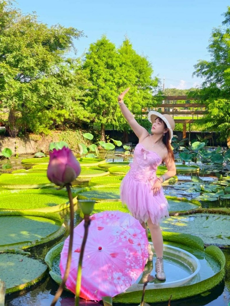 桃園蓮花季必訪!康莊蓮園大王蓮漂浮體驗超吸睛!