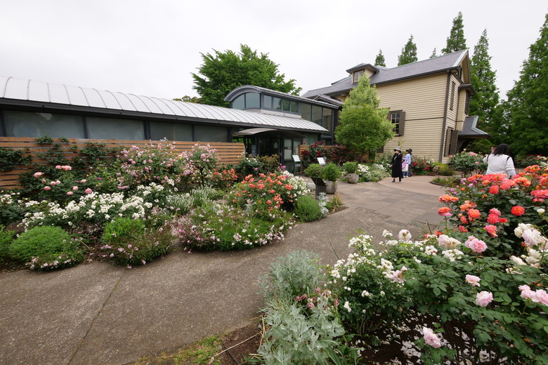 冷門景點 橫濱ブラフ１８番館與山手イタリア山庭園