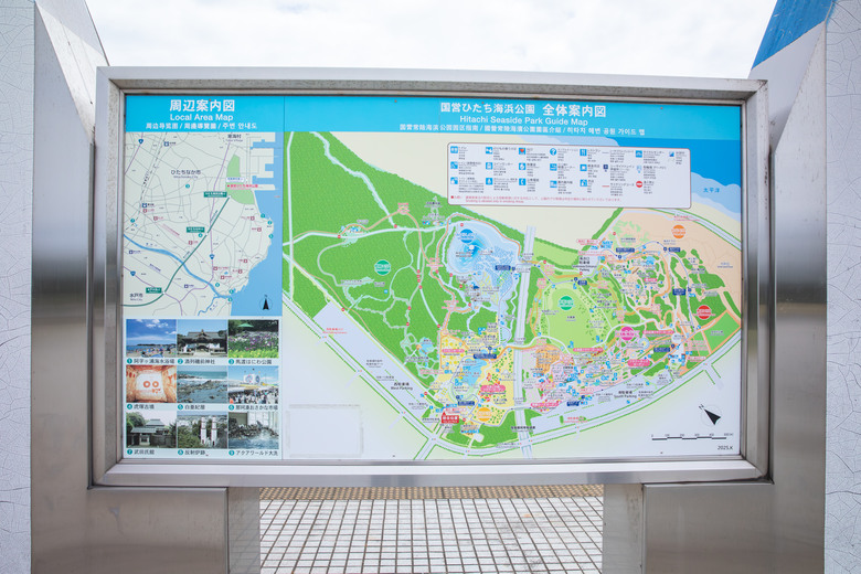 點我看大圖 ✈️ 趕在暑假人潮爆炸前,先衝一波日本上篇~海上鳥居絕景、現流海鮮隨意吃、森林系秘境參拜