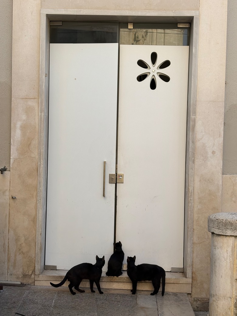 意大利🇮🇹南部之旅第二天 - Sassi di Matera 馬泰拉古城日出，Polignano a Mare濱海波利尼亞諾