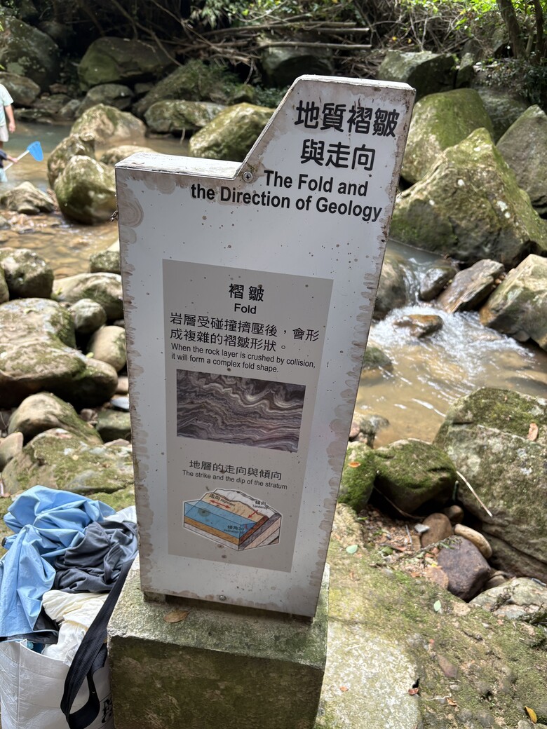 暑假第一站：內湖大溝溪，走進圓覺瀑布的一堂戶外自然課