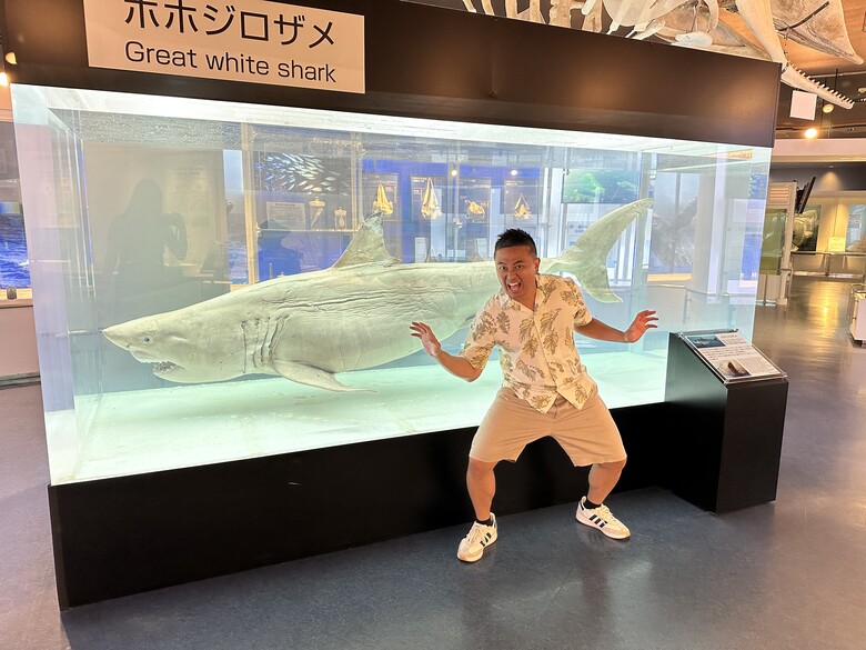 沖繩本島親子自由行|帶孩子玩翻世界文化王國、美麗海水族館!親子度假這樣排超輕鬆