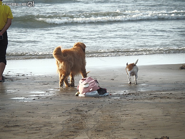 沙灘皮克敏探索之新北市篇 — 萬里海水浴場、金山中角、貢寮福隆海水浴場、石門白沙灣、三芝淺水灣、淡水沙崙、淡江大橋,還有Bossa Nova巴莎諾瓦海景餐廳與依海廚房之吃吃喝喝