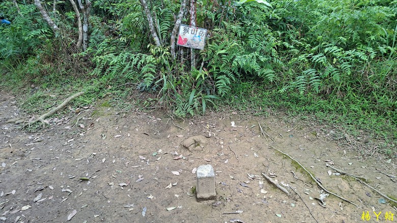 【郊山走走】拉繩攀爬登頂猴山岳前峰,猴山岳連走貓空圓山、岐山古道