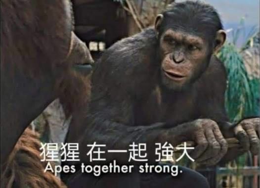 台中大里 知名保時捷維修 新發汽車 涉嫌詐欺消費者 把消費者當笨蛋耍