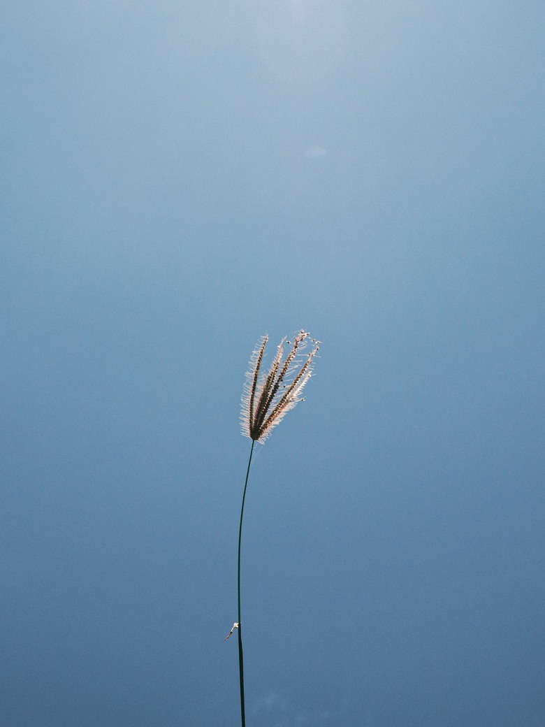 澎湖2日小旅行 OM3/8-25 F4/40-150 F4