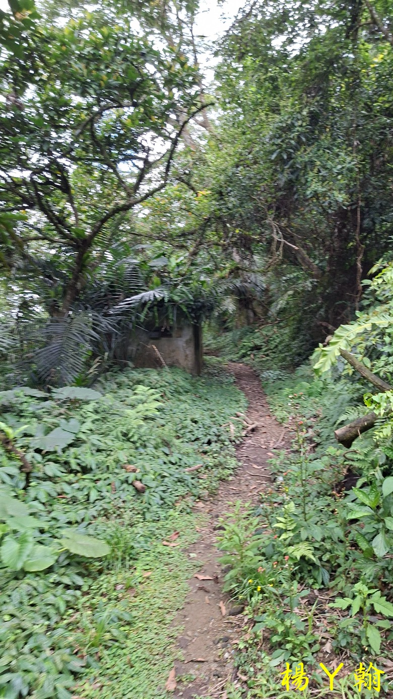 【郊山走走】拉繩攀爬登頂猴山岳前峰,猴山岳連走貓空圓山、岐山古道