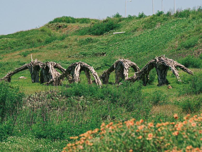 澎湖2日小旅行 OM3/8-25 F4/40-150 F4