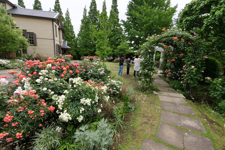 冷門景點 橫濱ブラフ１８番館與山手イタリア山庭園