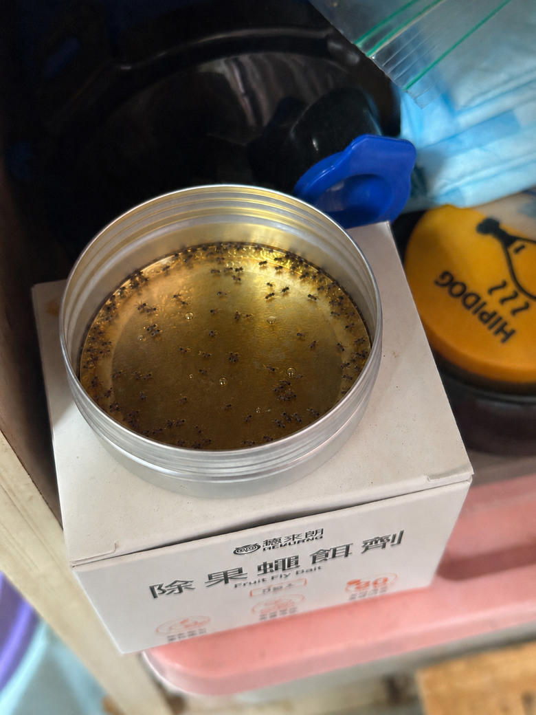 養貓養狗的注意~濕食害我家果蠅暴增,我的解方