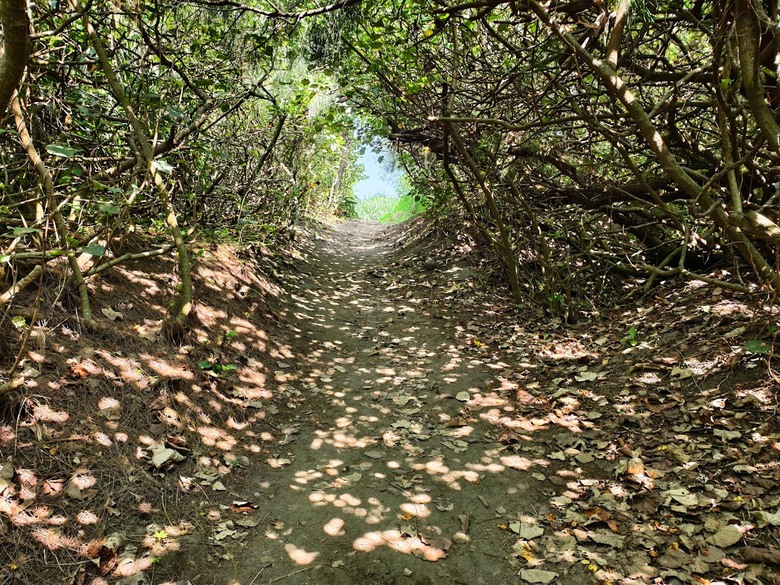 桃園新竹海岸線連走｜桃園火車站&rarr;高鐵竹北站｜92.3 km