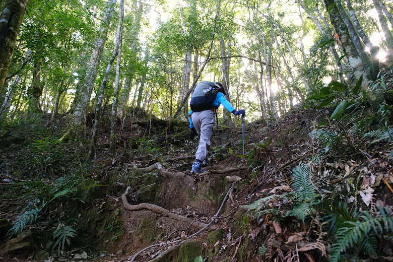【哈加縱走】極具挑戰的中級山縱走路線 | 哈堪尼山.加里山