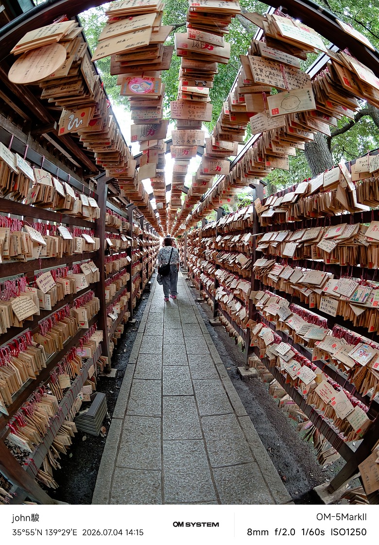 點我看大圖 再看一次東京第二日(川越(小江戶)、西櫻亭-川越店、米飛兔 MIFFY KITCHEN & BAKERY川越店、冰川神社、小川菊-鰻魚飯、新宿街頭貓咪、清州橋下、焼き豚ラーメン 東煌)(OM SYSTEM OM-1II、OM-3、OM-5II、TG-7)