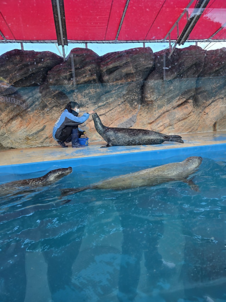 三重縣 伊勢海洋樂園 今天來點不一樣的水族館吧