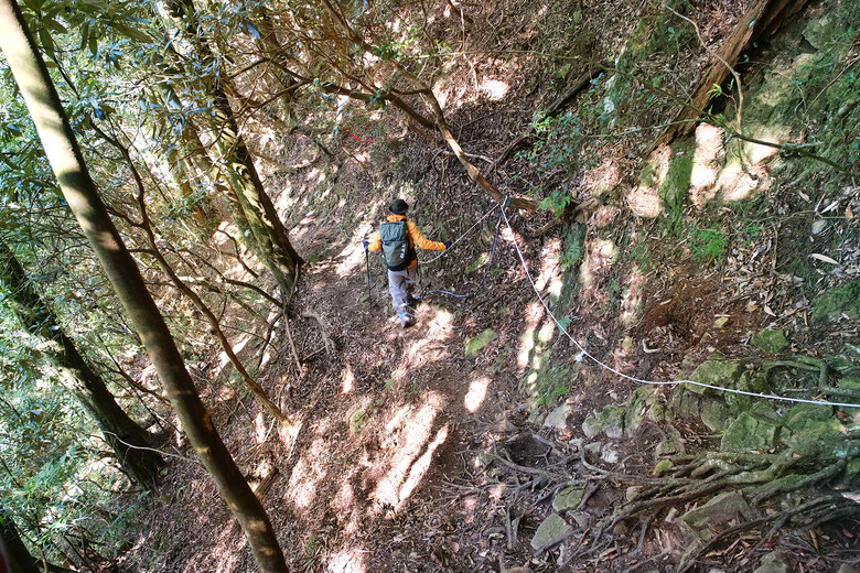 【哈加縱走】極具挑戰的中級山縱走路線 | 哈堪尼山.加里山