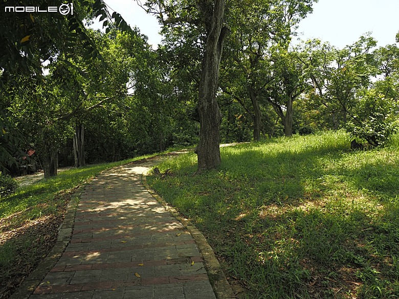 嘉義市立美術館、嘉義文化創意產業園區、嘉義城隍廟、嘉義市郵便局、文化路夜市，外掛美味可口的林聰明沙鍋魚頭、還有繁花似錦的臺南白河蓮花公園 — 2026 端午連假次日遊