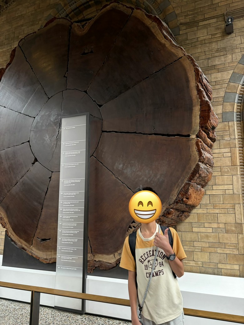 巴黎倫敦自助旅行(倫敦篇)