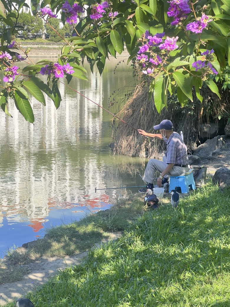 股股皆辛苦 誰知漲與跌