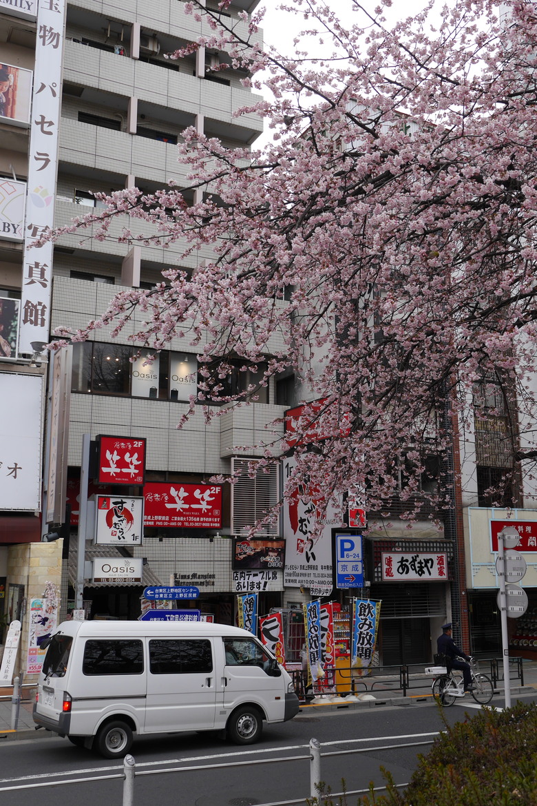 東京的一些旅遊紀錄 上野 都電おもいで広場 都電荒川線 晴空塔