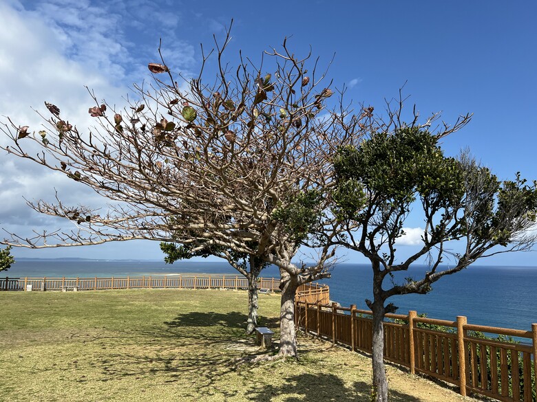 114年2月26日至114年3月2日沖繩行(114年2月27日第3天)