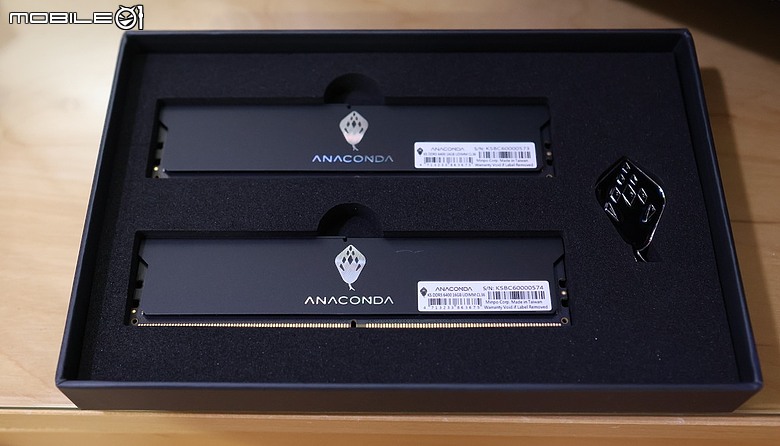 點我看大圖 ANACOMDA 巨蟒黑王蛇 DDR5-6400 10th 紀念版
