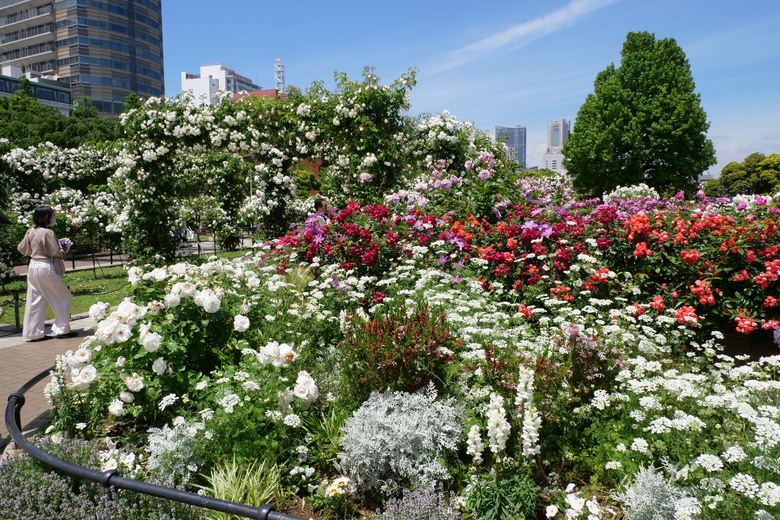 橫濱山下公園