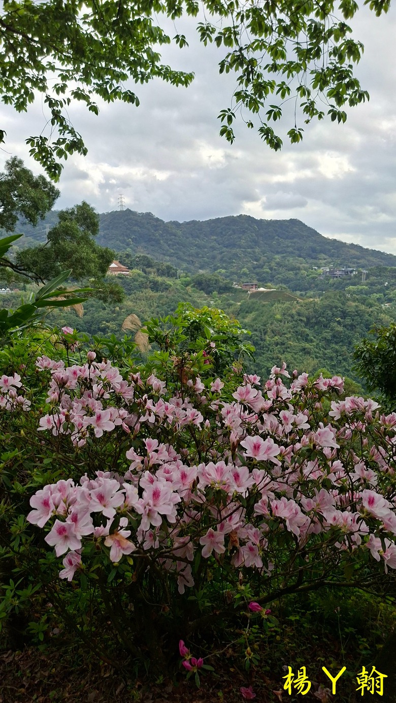 【郊山走走】拉繩攀爬登頂猴山岳前峰,猴山岳連走貓空圓山、岐山古道