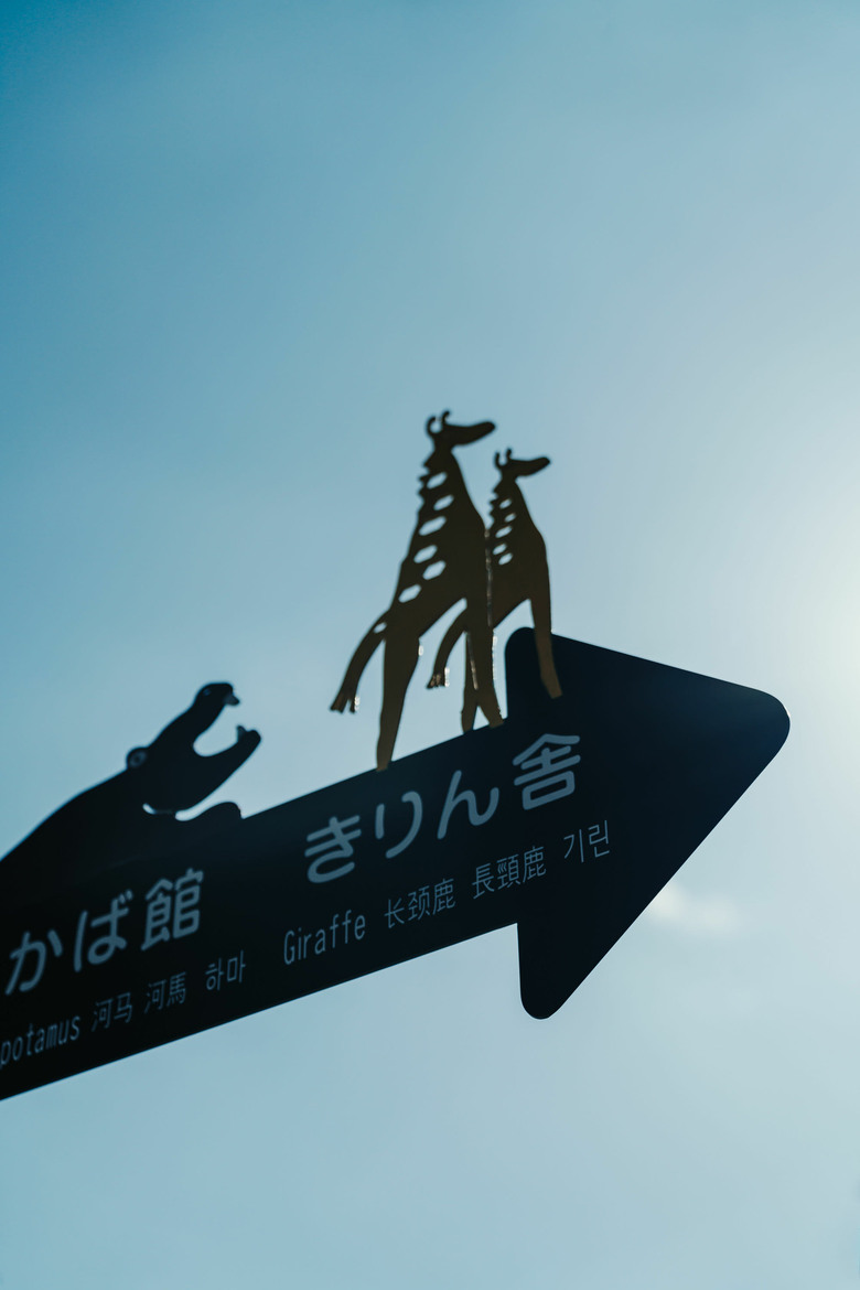 2026北海道之旅 (上)A7CR/20-70G 35GM