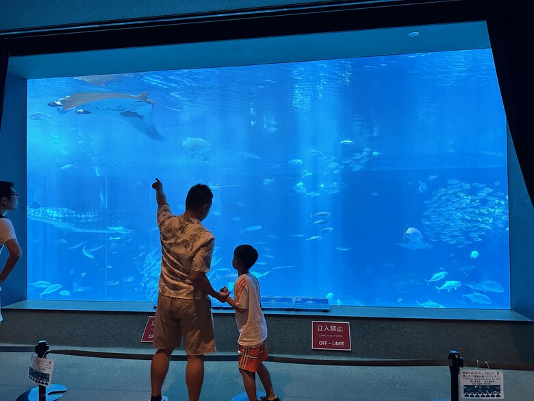沖繩本島親子自由行|帶孩子玩翻世界文化王國、美麗海水族館!親子度假這樣排超輕鬆