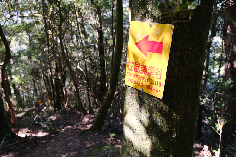 【哈加縱走】極具挑戰的中級山縱走路線 | 哈堪尼山.加里山
