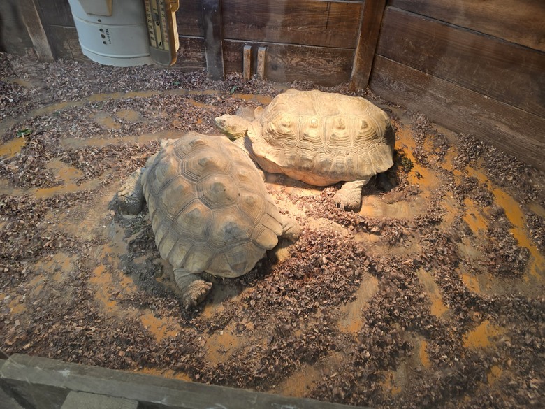 三重縣 伊勢海洋樂園 今天來點不一樣的水族館吧