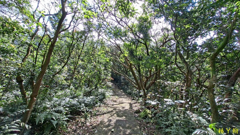 【郊山走走】拉繩攀爬登頂猴山岳前峰,猴山岳連走貓空圓山、岐山古道