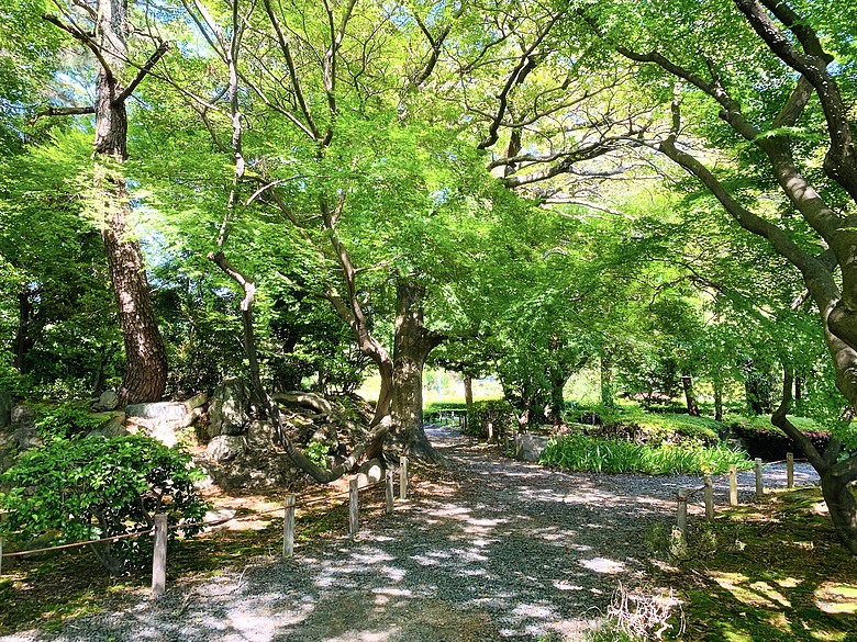 ＜日本＞2024～有個誤會但覺得照片很美的「名古屋一日遊」：東京外星人快閃店、大須觀音、名古屋城(？）、熱田神宮
