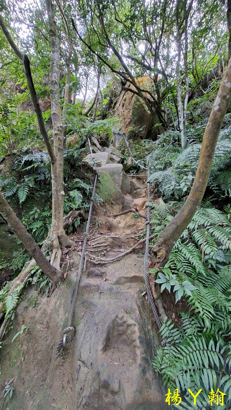 【郊山走走】拉繩攀爬登頂猴山岳前峰,猴山岳連走貓空圓山、岐山古道