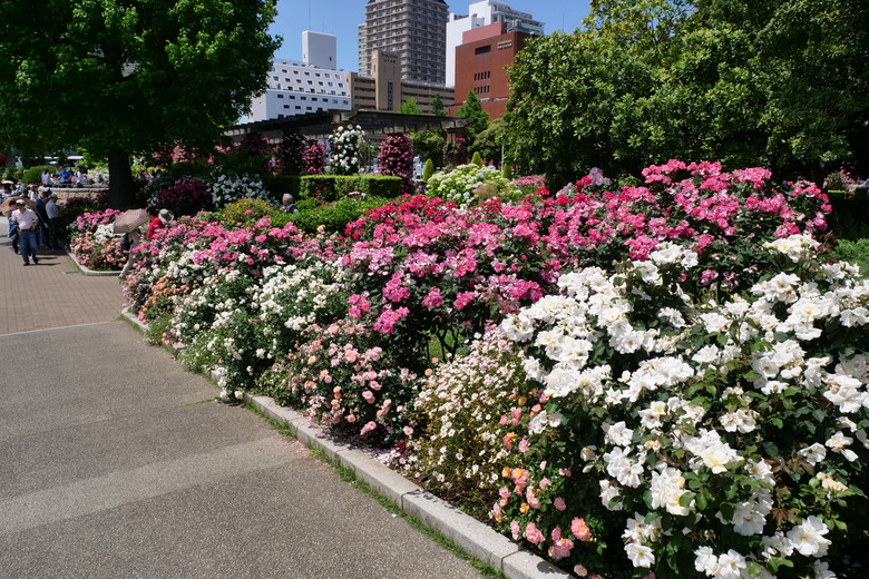 橫濱山下公園