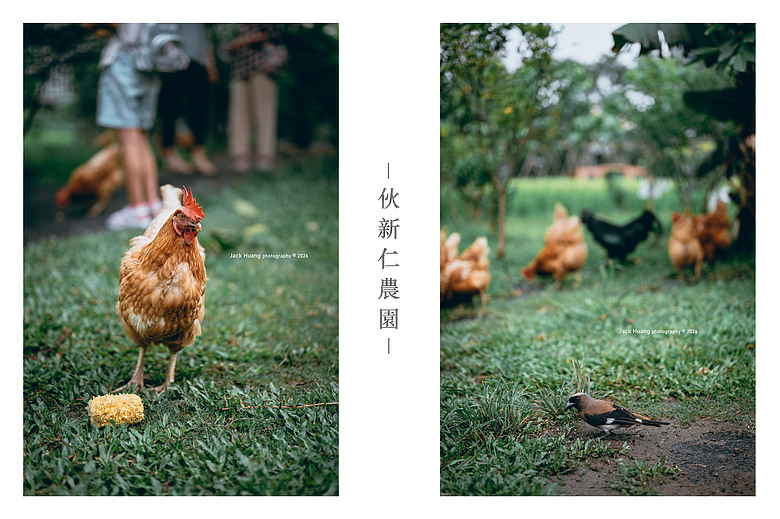 點我看大圖 構築百年的黑手光陰丨國家鐵道博物館