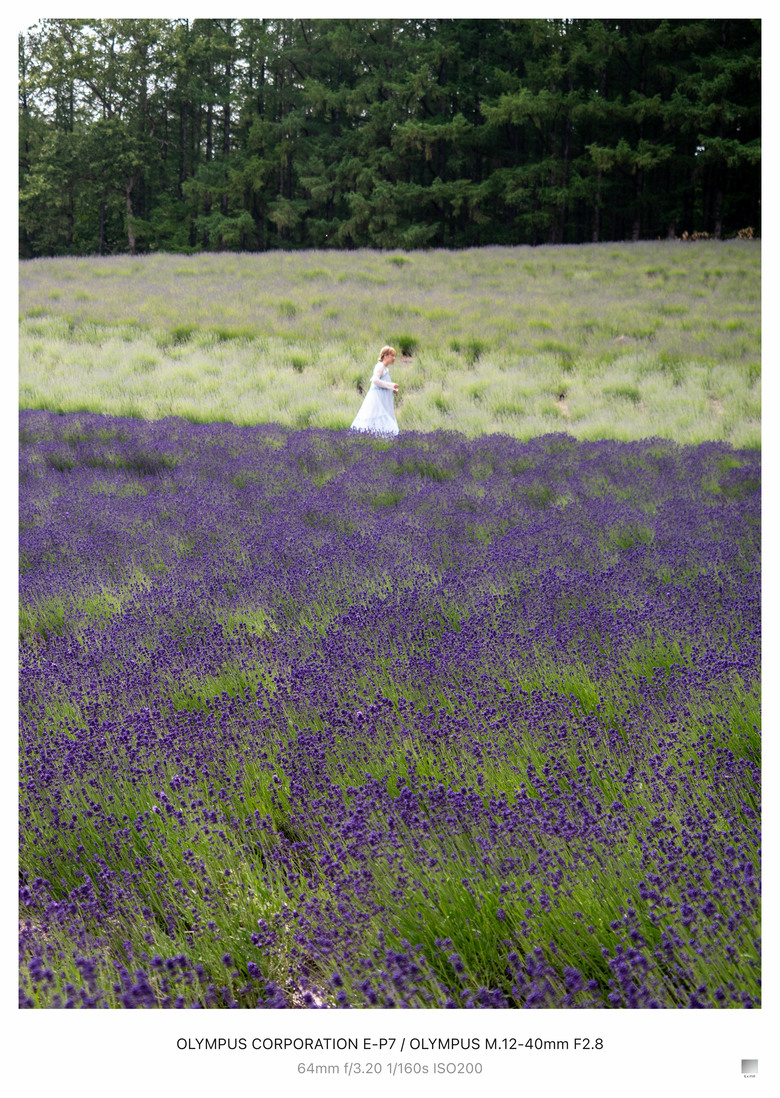 初夏的北海道-札幌/小樽/富良野(OM-5/E-P7)