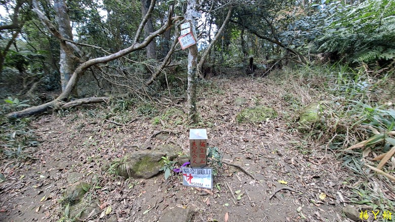 【郊山走走】拉繩攀爬登頂猴山岳前峰,猴山岳連走貓空圓山、岐山古道