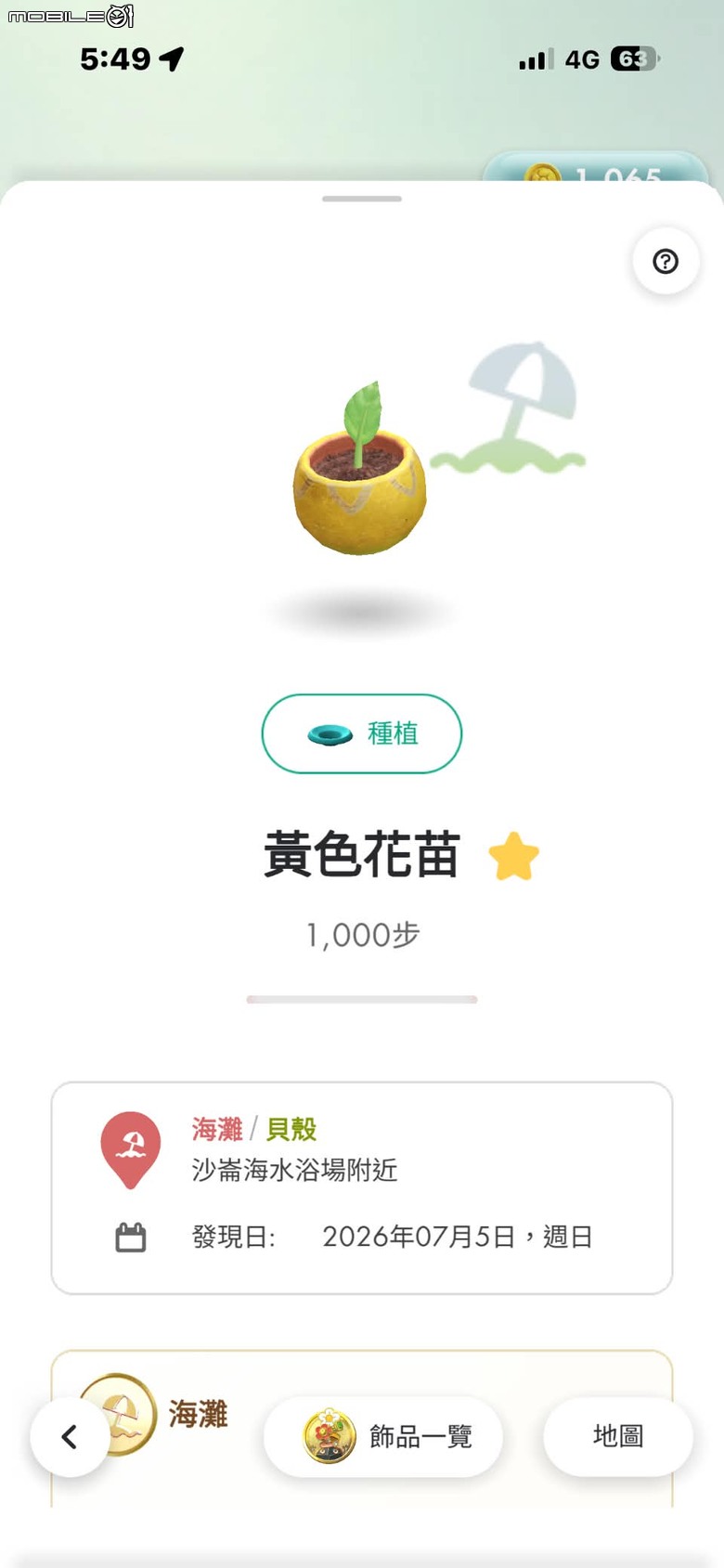沙灘皮克敏探索之基隆市篇 — 大武崙沙灘與和平島地質公園