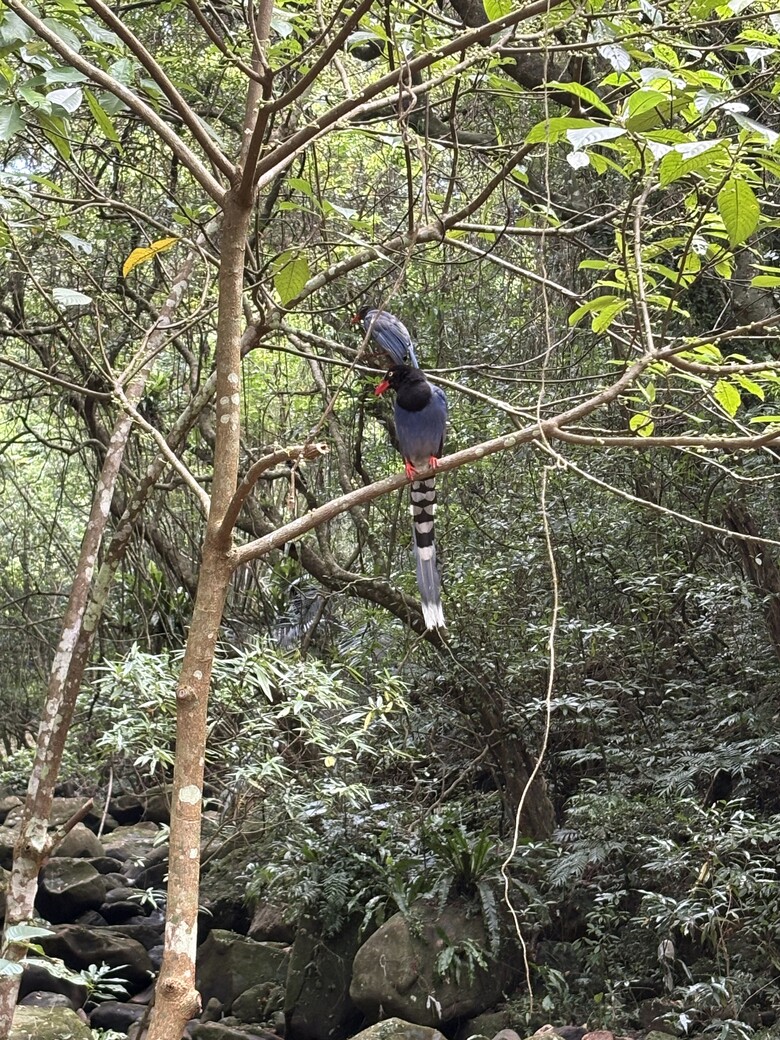 暑假第一站：內湖大溝溪，走進圓覺瀑布的一堂戶外自然課